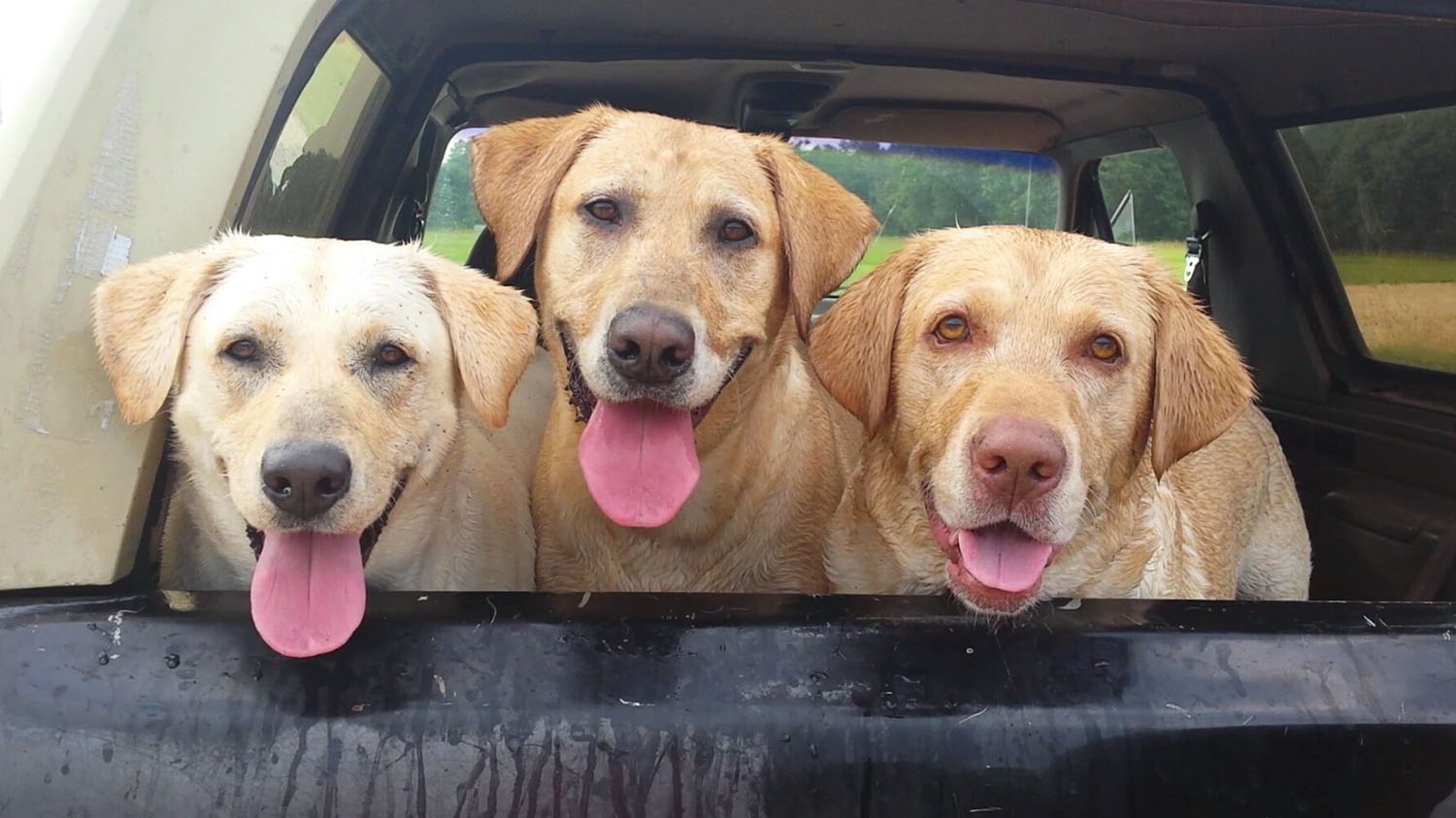 20170619_072131_8007