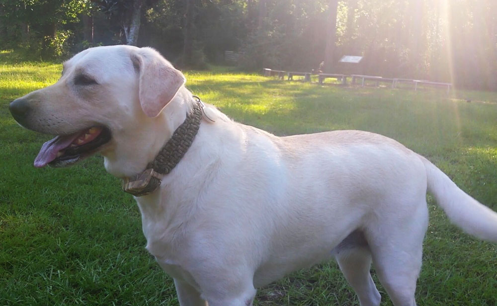 20170722_080609_8438_